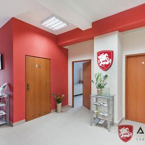 The AMEDS clinic - Poland