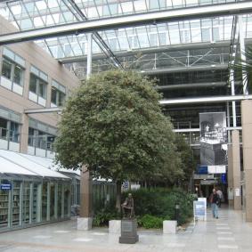 University hospital of Cologne - Germany