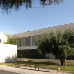 The Instituto Bernabeu - Spain